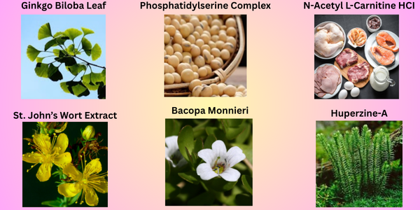 MemoForce Ingredients